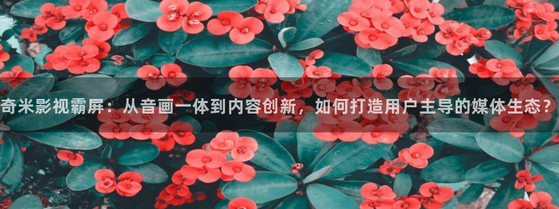 奇奇影视理论：奇米影视霸屏：从音画一体到内容创新，如何打造用户主导的媒体生态？