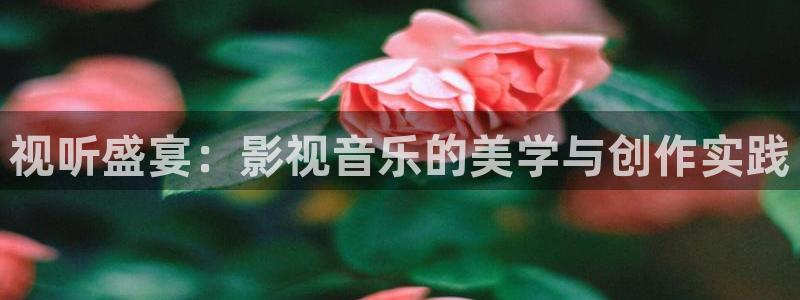 米奇奇米影视：视听盛宴：影视音乐的美学与创作实践