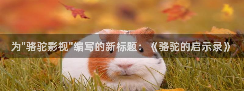 奇奇影院免费版看电视剧：为\