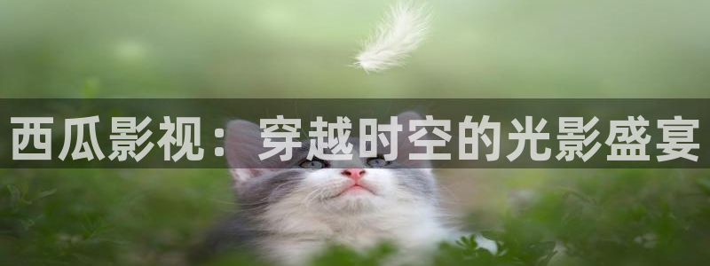 奇奇影院免费版看电视剧：西瓜影视：穿越时空的光影盛宴