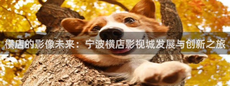 奇奇影院午夜网：横店的影像未来：宁波横店影视城发展与创新之旅