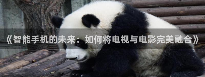 奇奇影院免费在线看：《智能手机的未来：如何将电视与电影完美融合》